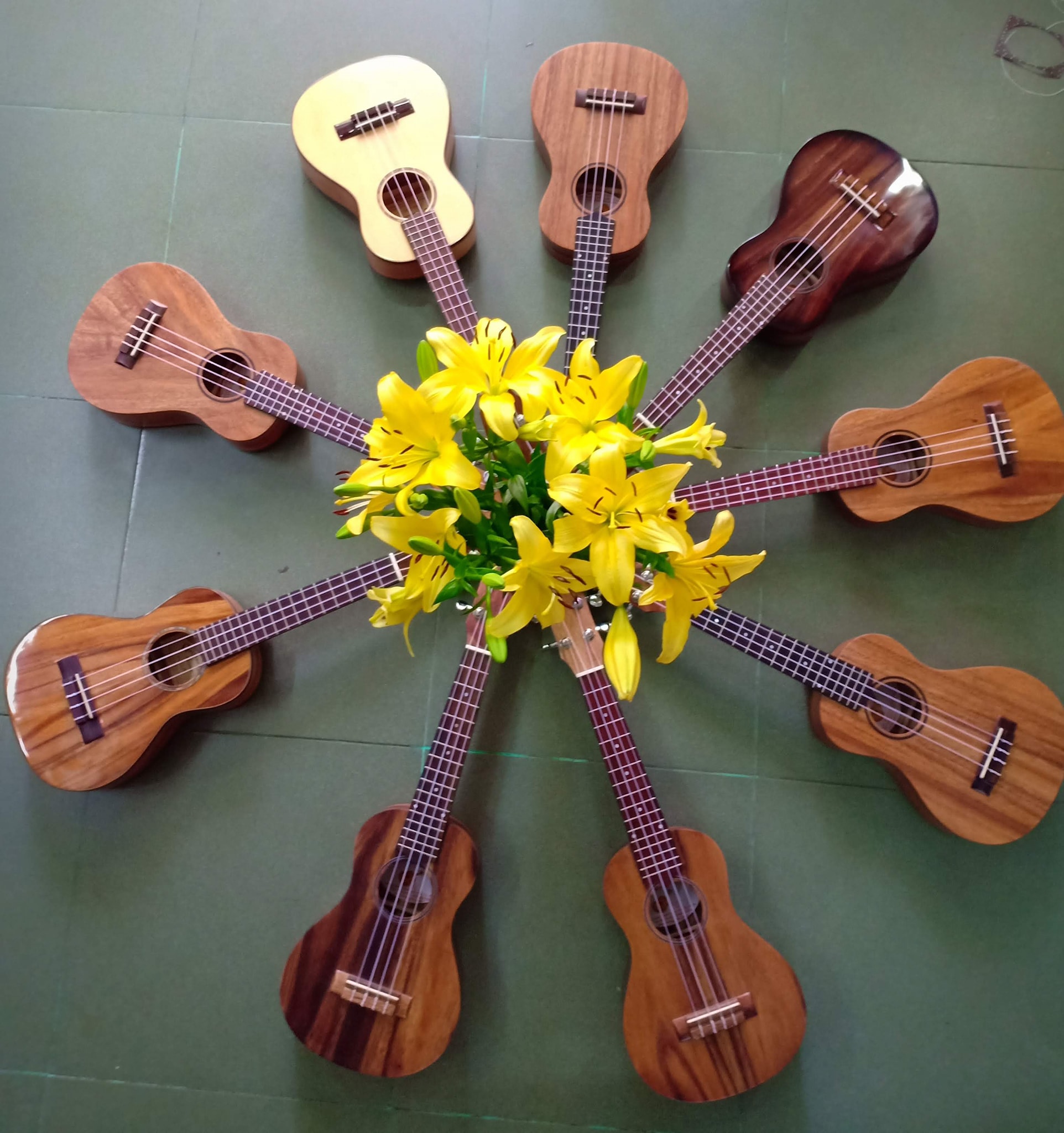 Đàn ukulele giá rẻ quận 3 uy tín chất lượng